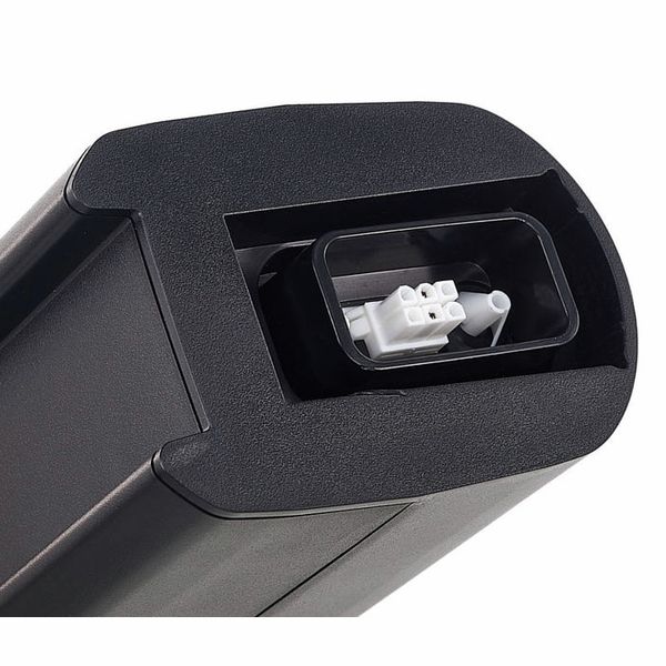 Bose L1 Pro8