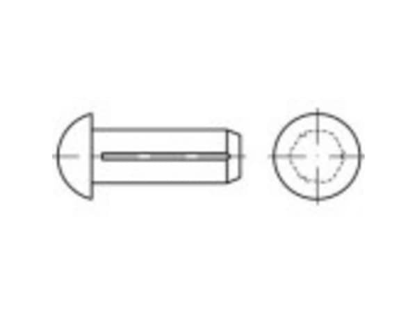 TOOLCRAFT 136547 Halvrundt rillet søm (Ø x L) 5 mm x 18 mm Stål 250 stk