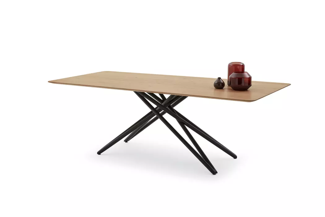 Esstisch Helmond 220 x 100cm