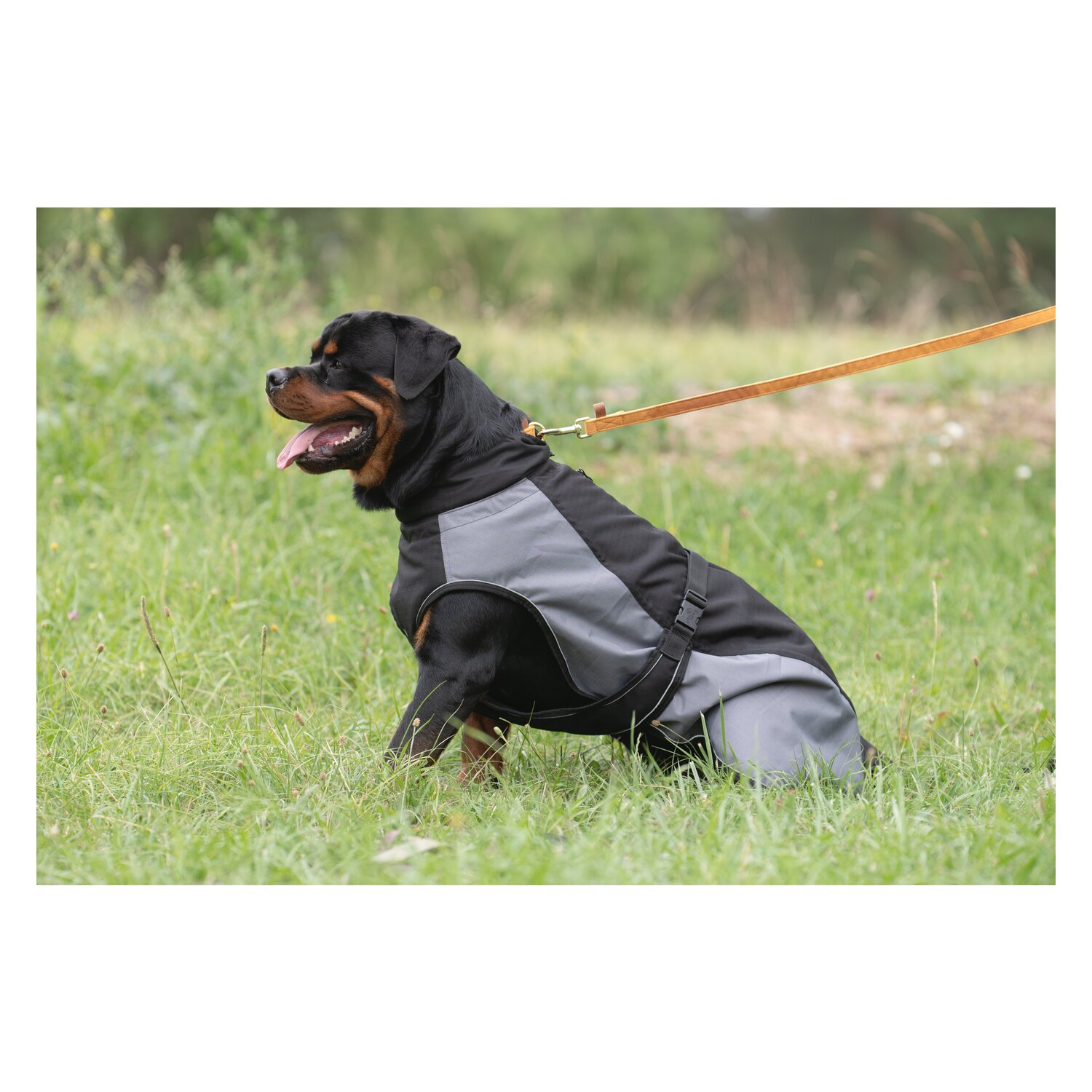 pawberry Hundeleine Sintra  - senf - 120 cm