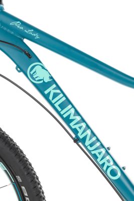 X FactPro Lady 27,5 - mint