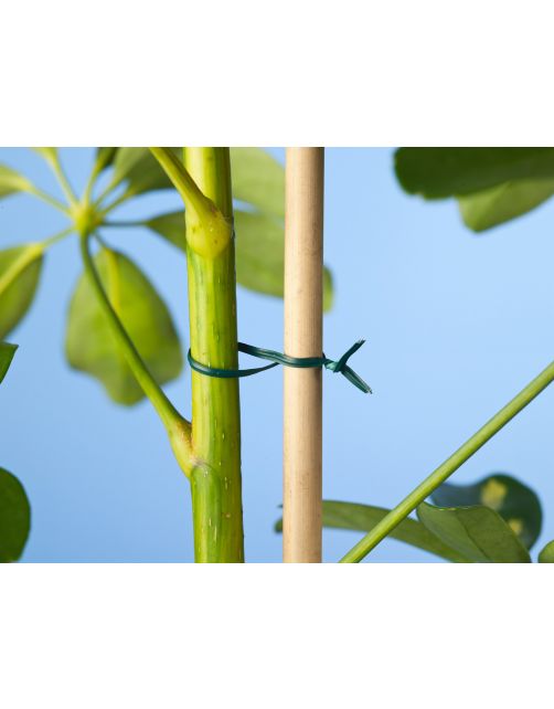 Nature Bindband - Klim-En Geleide Artikel - 100 m Groen