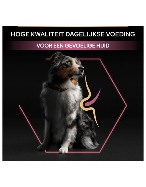 Pro Plan Dog Adult Medium Breed Sensitive Zalm - Hondenvoer