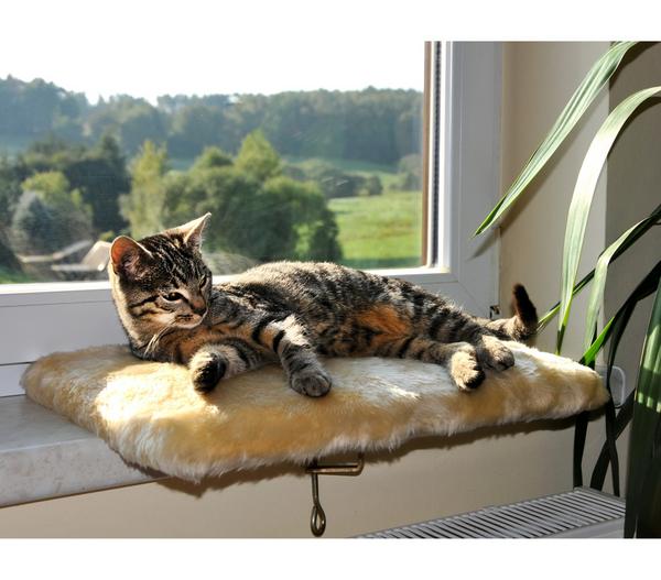 Silvio Design Fensterliege für Katzen