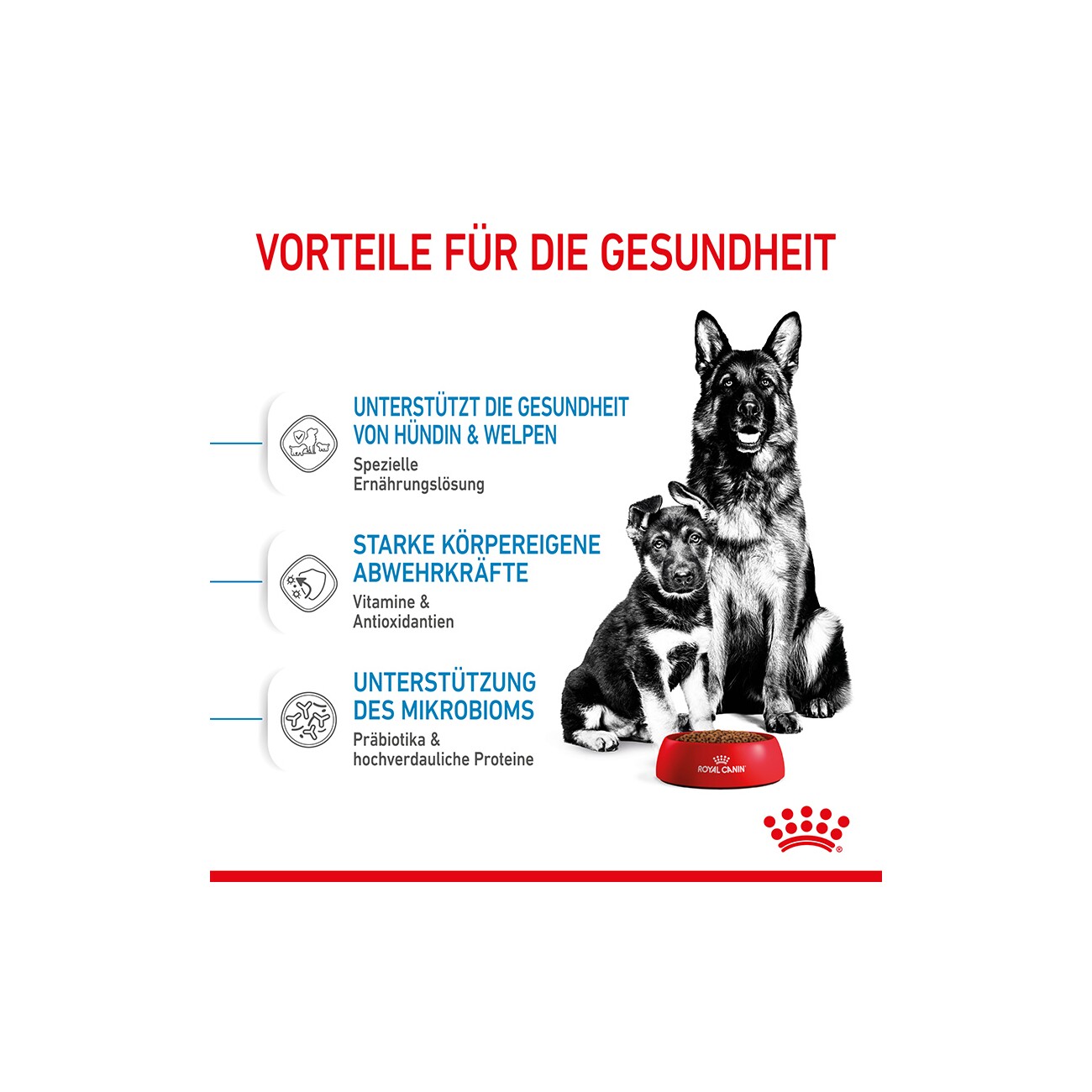 ROYAL CANIN MAXI Starter 15kg