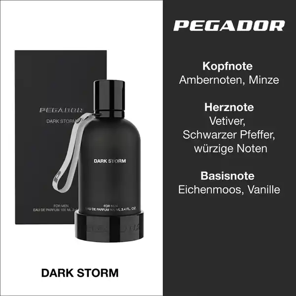 Dark Storm for Men, EdP 100 ml