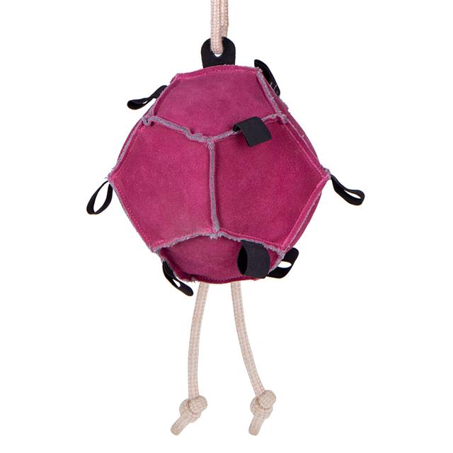 Paardenspeeltje QHP Bal Roze