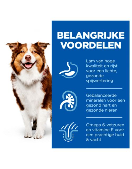 Hill's Canine Senior Lam&Rijst - Hondenvoer