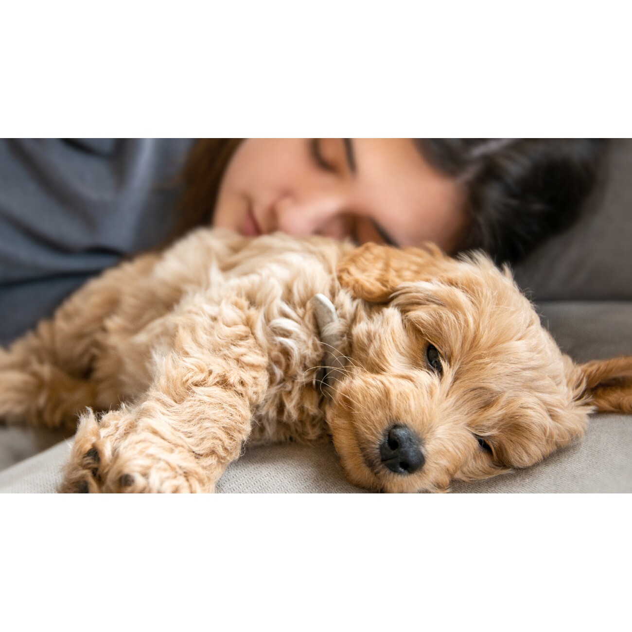 mammaly Puppy Power 110 g