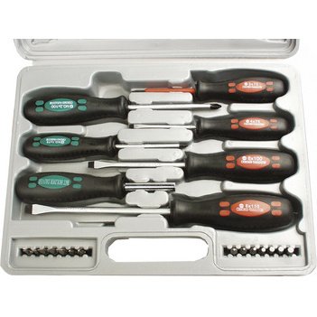 Kit de tournevis, 21 pièces, avec embouts
