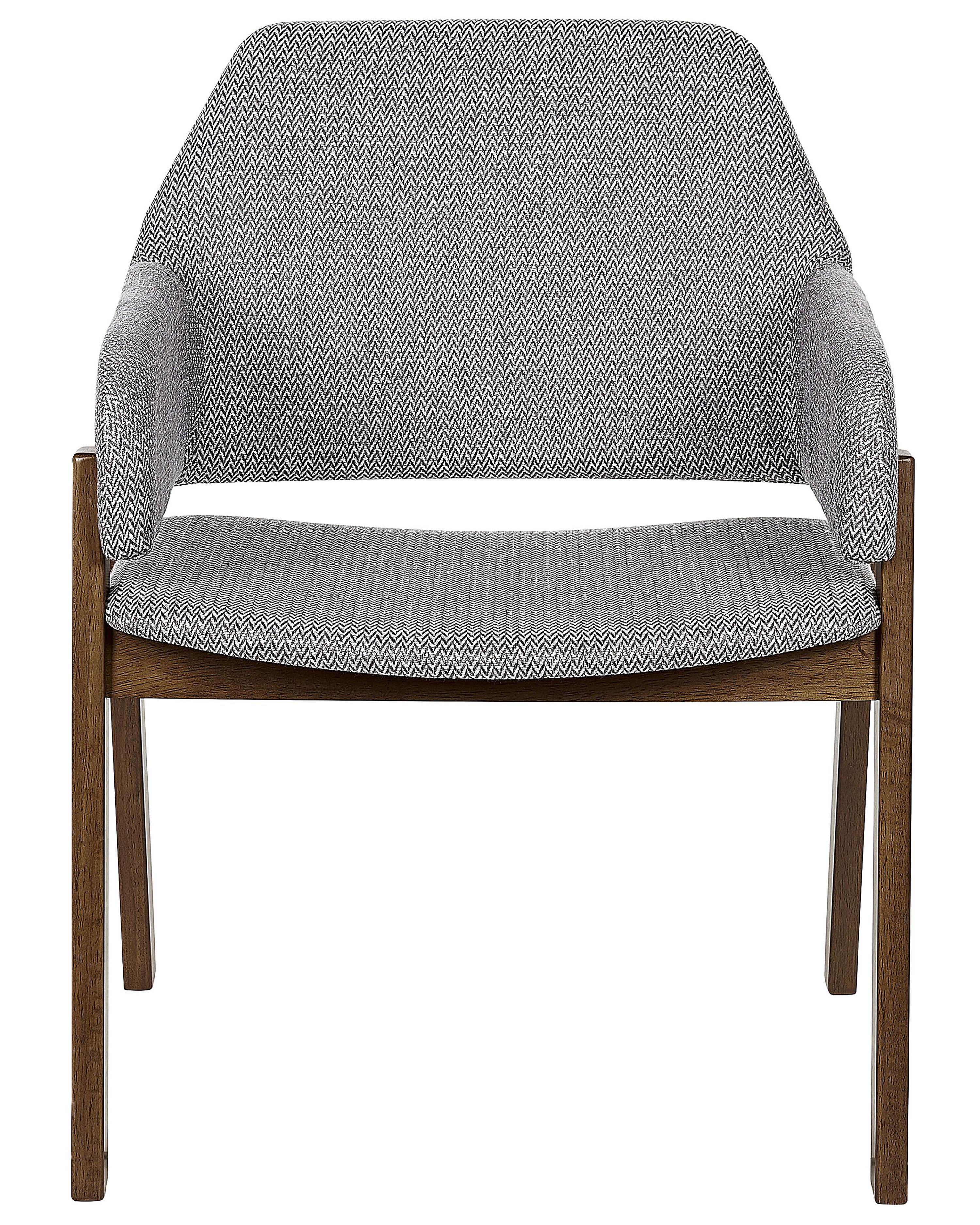Set van 2 eetkamerstoelen ALBION Grijs