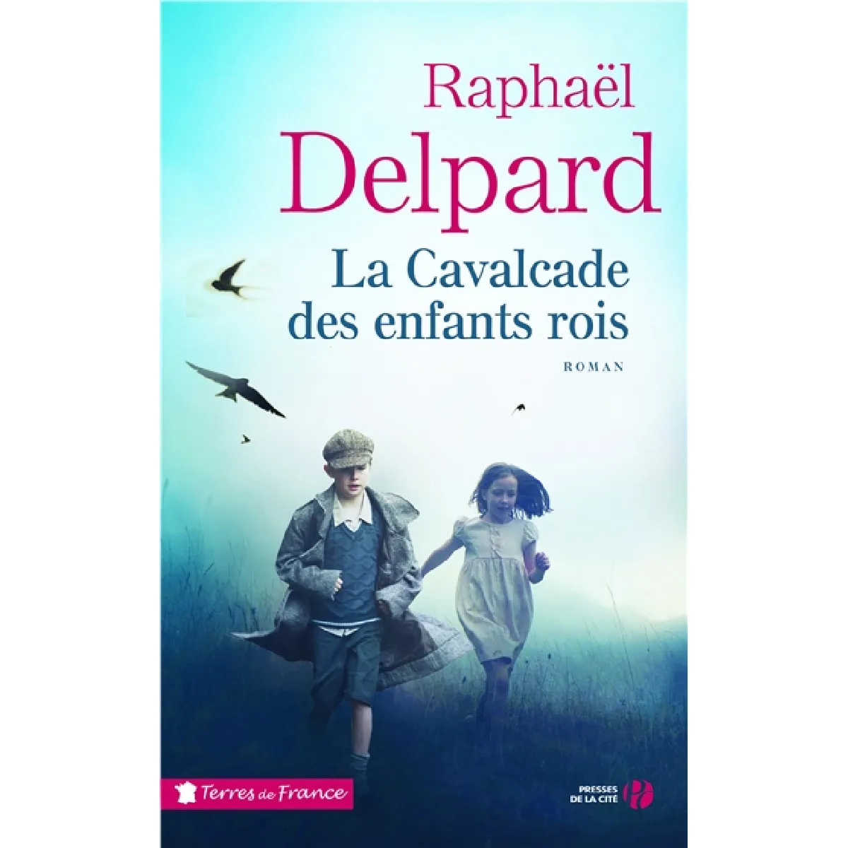 La cavalcade des enfants rois · Occasion