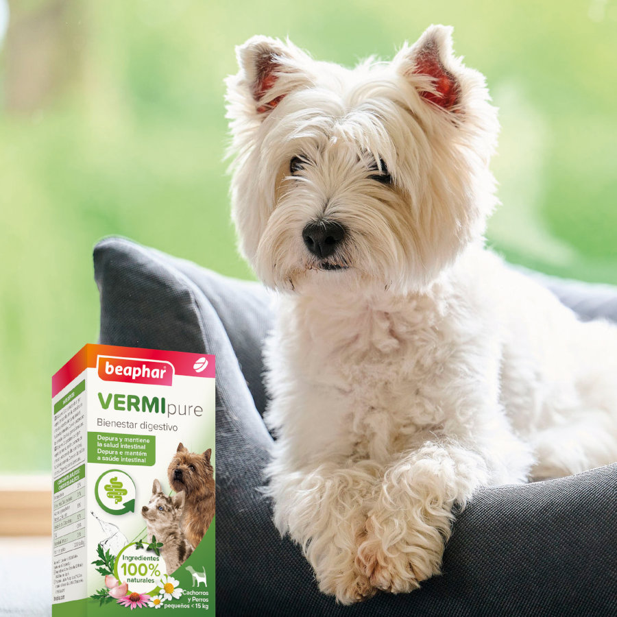 Comprimidos repelentes internos naturais Beaphar VERMIpure para cães de pequeno porte e filhotes.