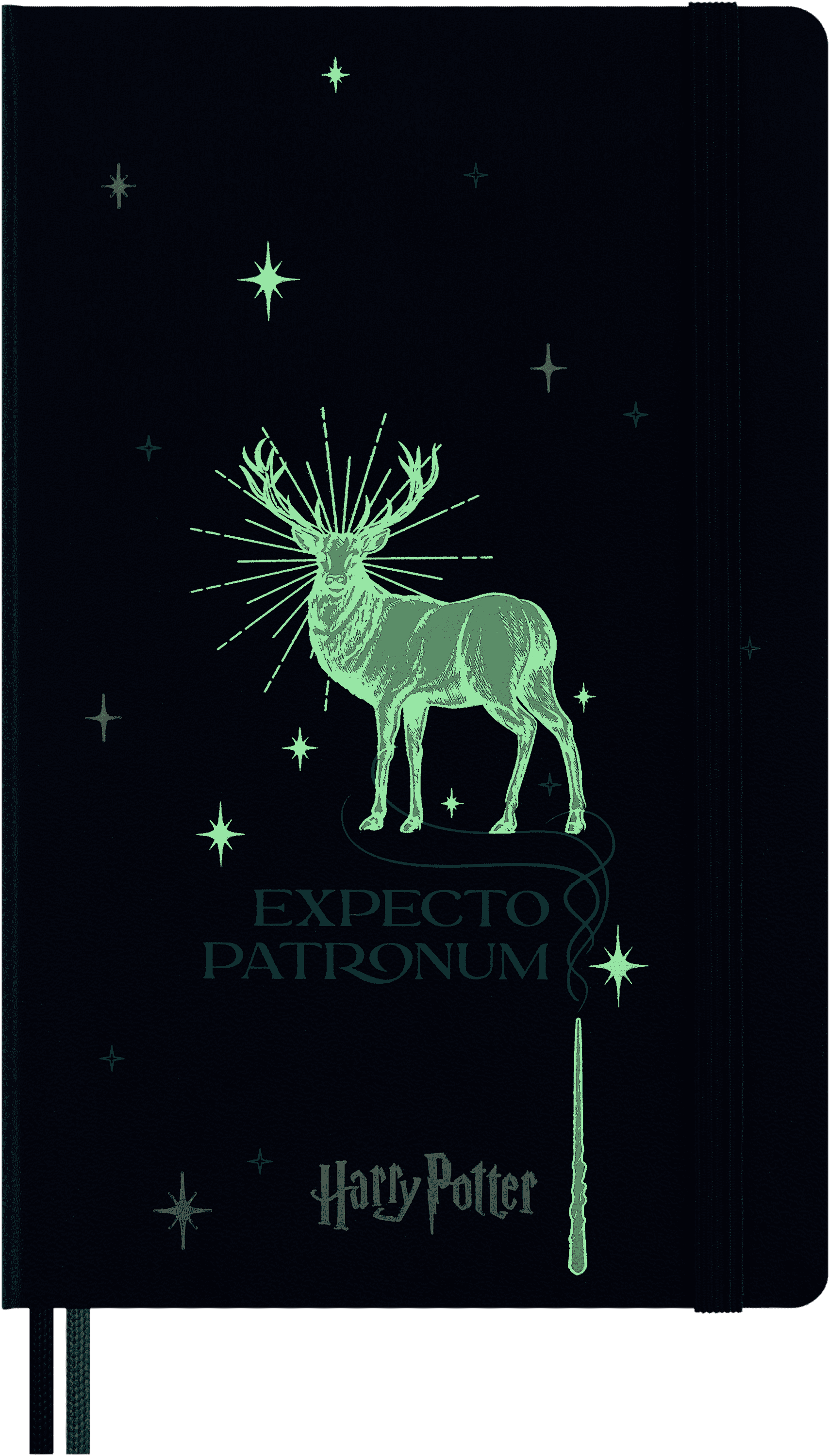 Wizarding World Harry Potter Limited Edition Notebook Large, ruled, hard cover