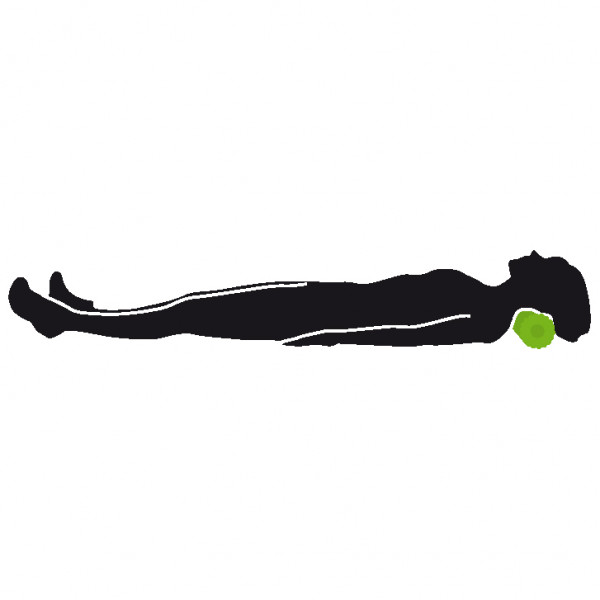 Schildkröt Fitness - 3 in 1 Massage Roller - Rouleau de massage des fascias