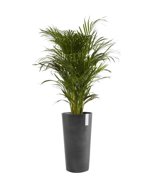 Ecopots Kunststoff-Topf Amsterdam hoch, rund