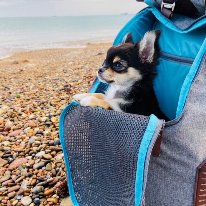 Sac à dos K9 Rucksack