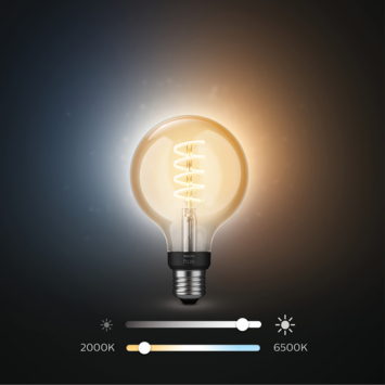 Philips Hue filament globelamp G93 - warm tot koelwit licht 7W - E27