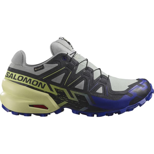 Chaussure trail SALOMON SPEEDCROSS 6 GORE-TEX WROUGHT IRON/CLEM