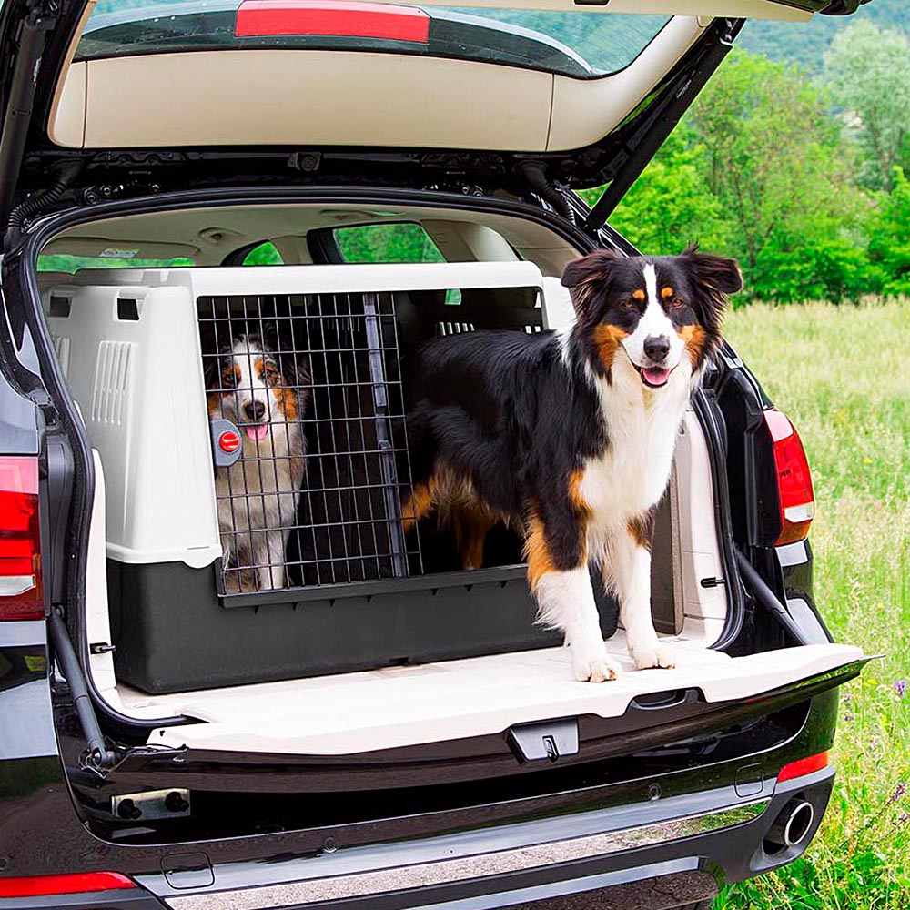 Ferplast transport chiens pour voiture atlas car maxi, grilles d'aération, compartiments de rangement, tapis drainant