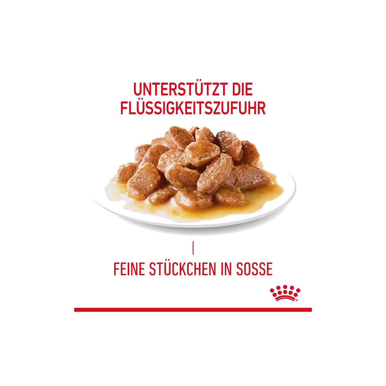 ROYAL CANIN Appetite Control Care 12 x 85 g