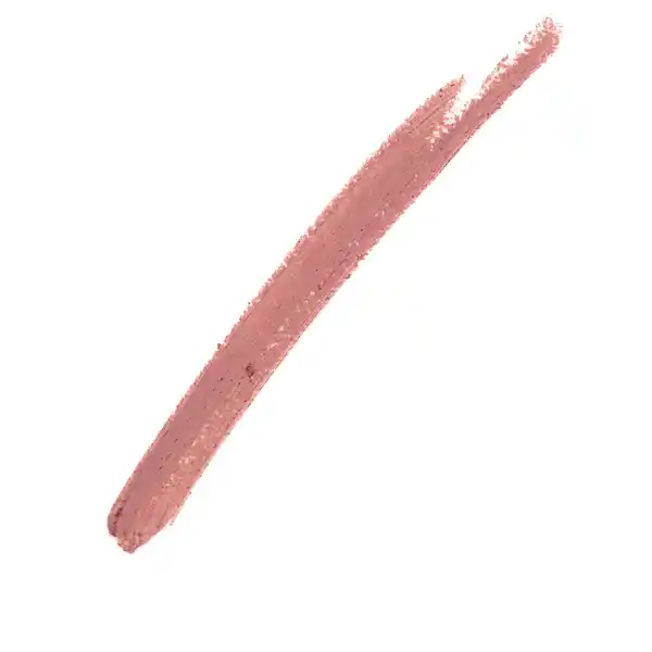 Lifter Plump 001 Ice & Lipliner 50 Dusty Rose