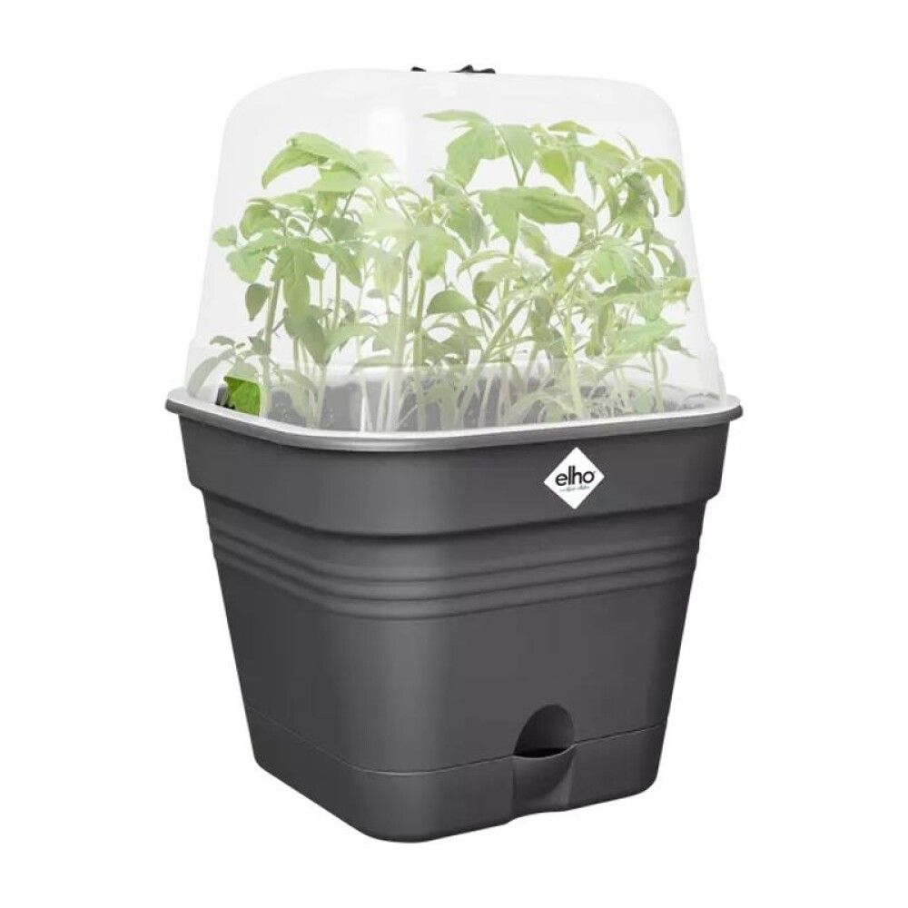 DYRKEPOTTE ELHO GREEN BASICS 25X25CM SVART