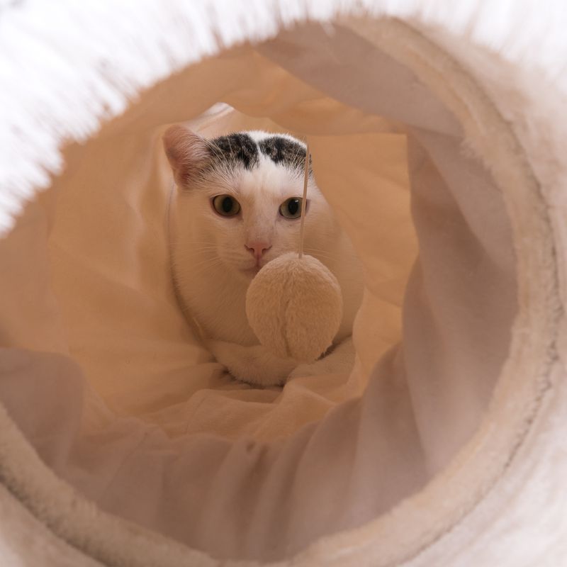 Tunnel de jeu 3in1