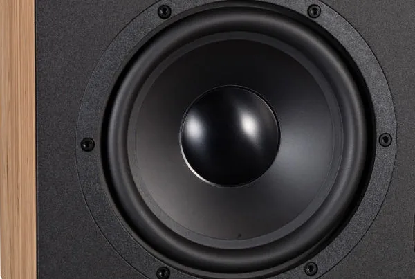 Davis Acoustics Ariane C2 Chêne Clair Enceintes centrales