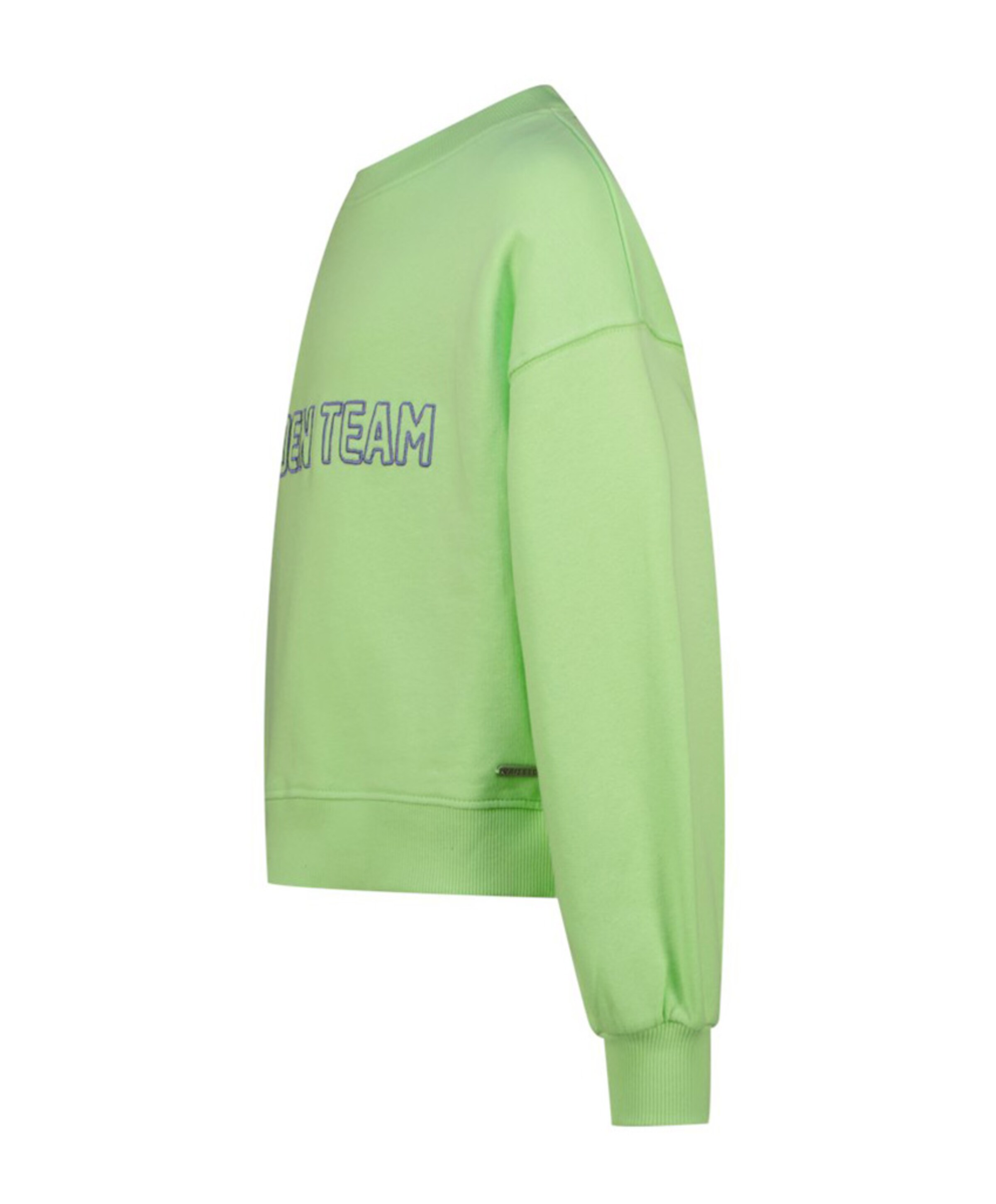 Raizzed Meisjes sweater groen