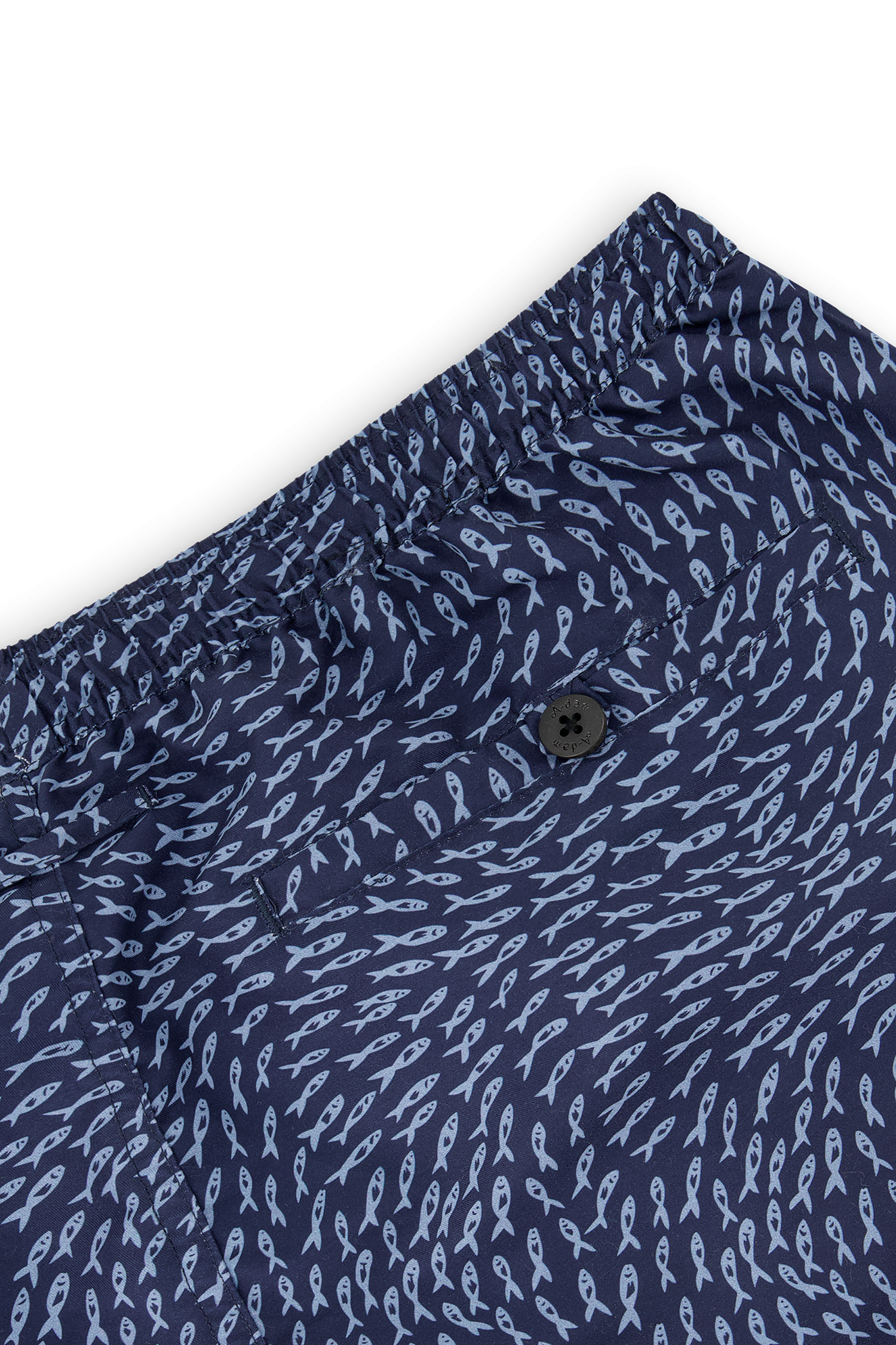 Blue School of Fish