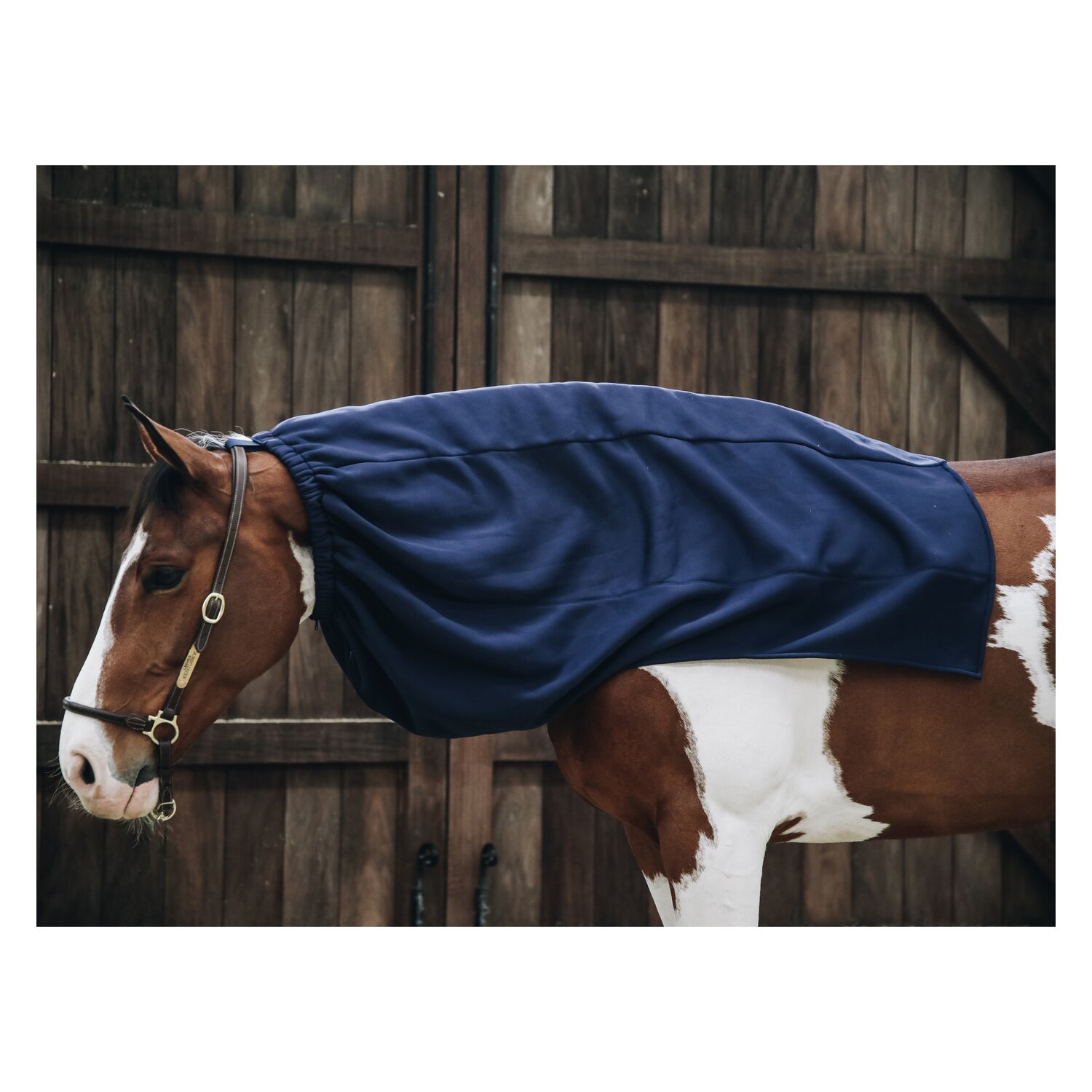 KENTUCKY Halsteil Cooler Fleece Horse Scarf - navy