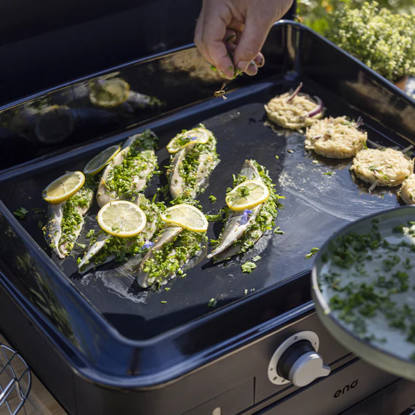 Plancha à gaz Combo enosign 65 bleu navy 2 feux ENO