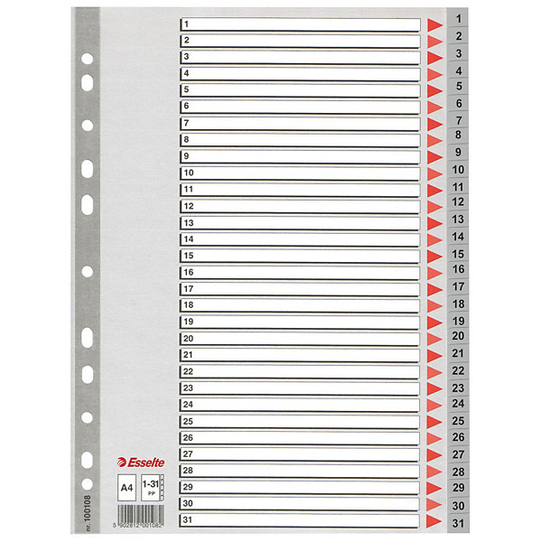 2 jeux d' intercalaires 31 touches imprimées numériques coloris gris Esselte en polypro format A4
