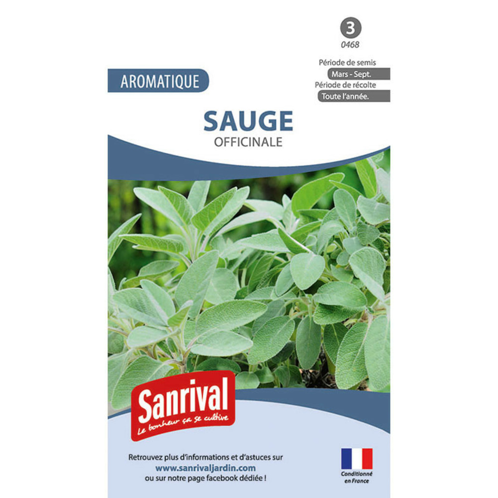 Graines sauge officinale