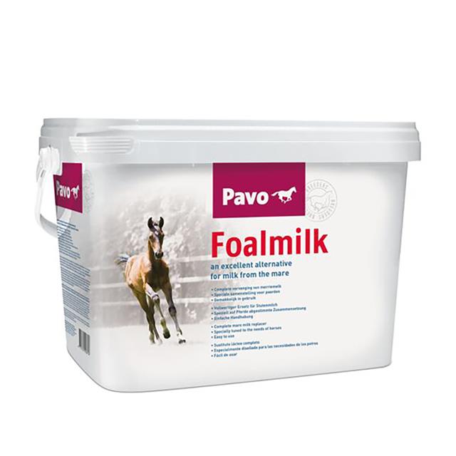 Pavo FoalMilk