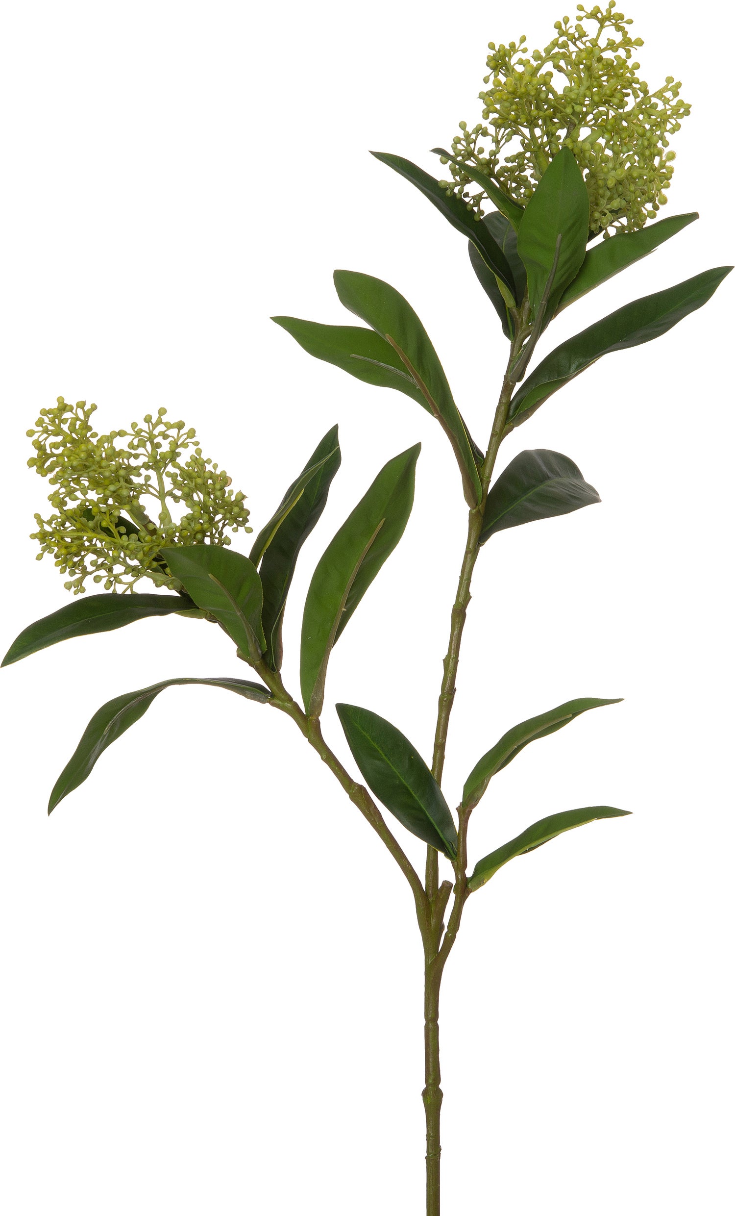 Intratuin kunstbloem Skimmia 72 cm