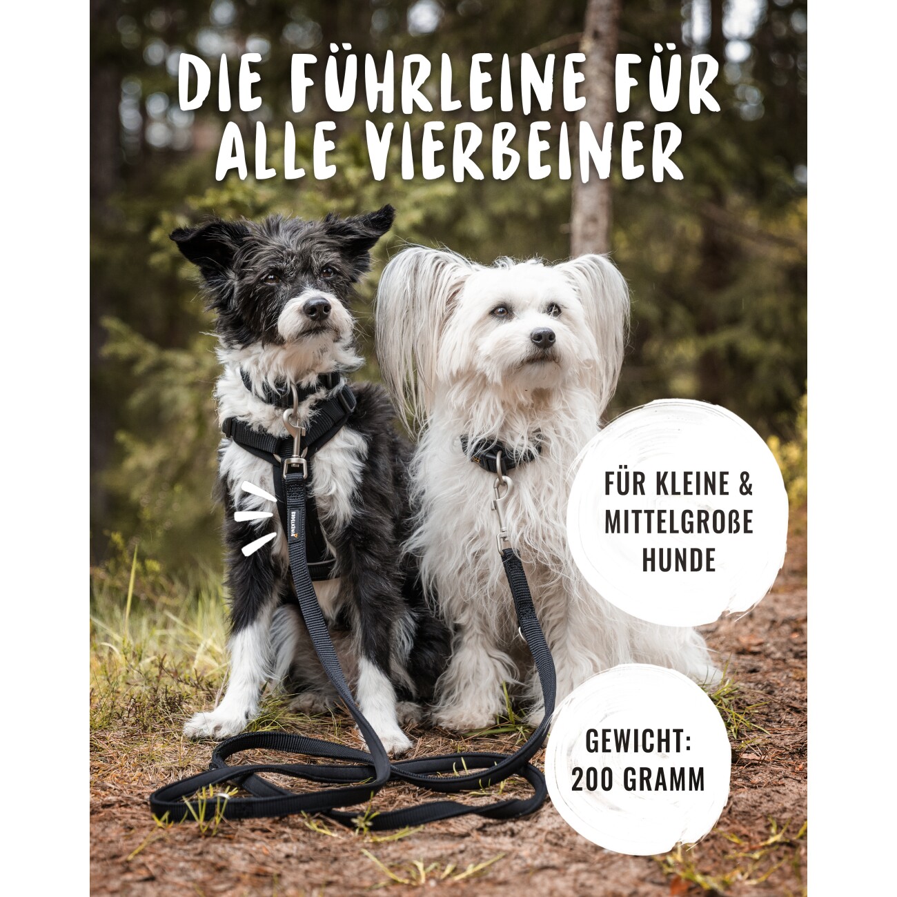 Rudelkönig Hundeleine - Führleine Bella schwarz