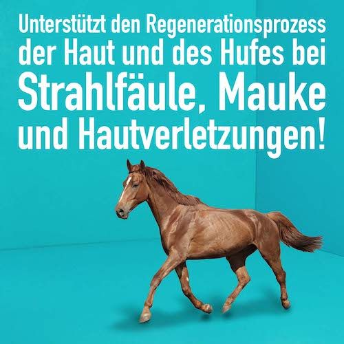 GreenHero Hufpflege