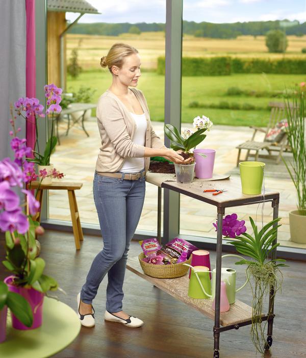 Substral® Orchideen Dünger-Stäbchen, 10
