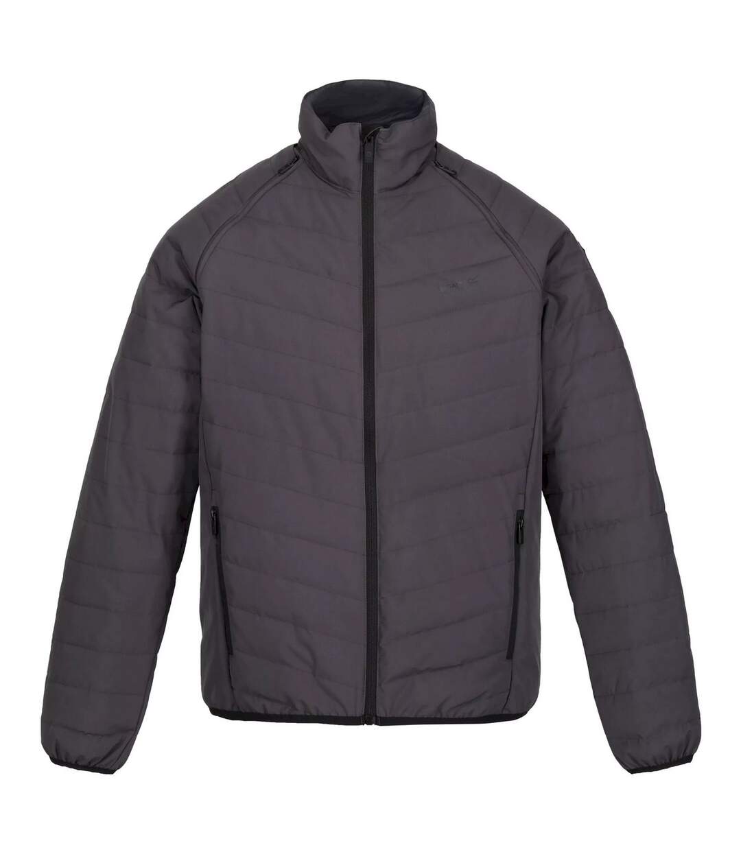 Regatta - Doudoune matelassée BENNICK - Homme (Gris) - UTRG8219