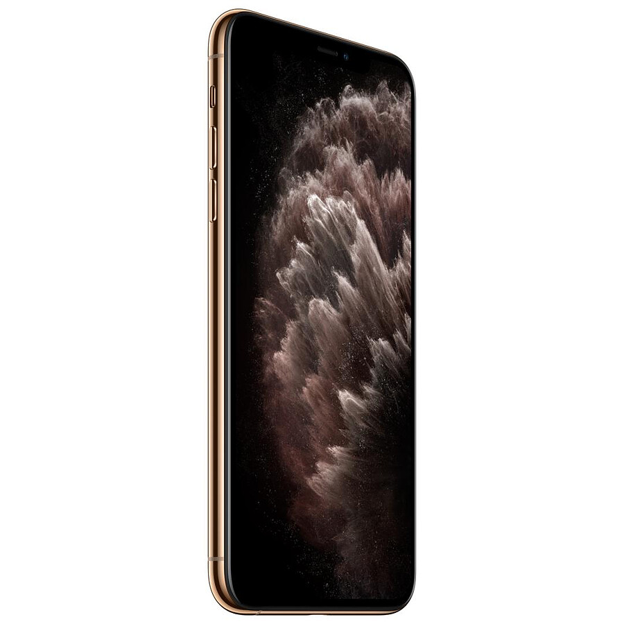 Apple iPhone 11 Pro Max (or) - 256 Go · Reconditionné