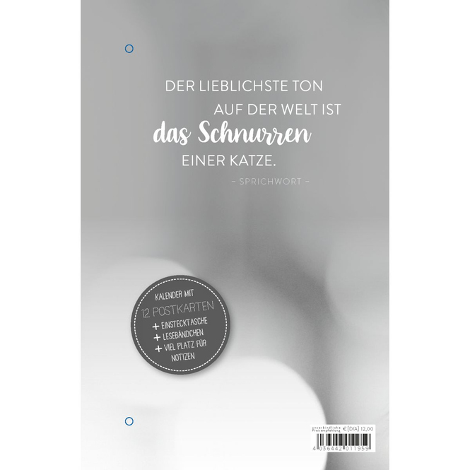 Taschenkalender 2025 - Katzenfreunde