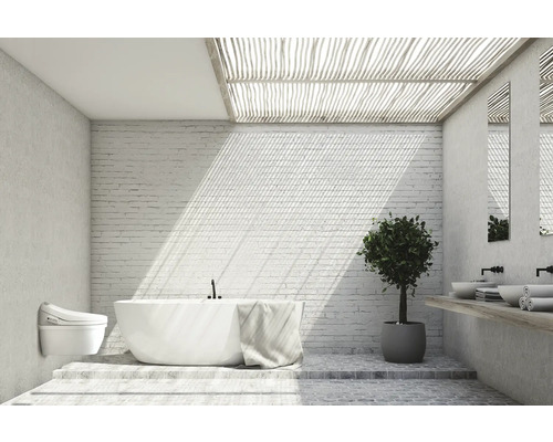 REIKA Premium Douche Toiletzitting SANO wit met afstandsbediening