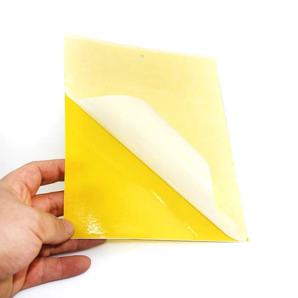 INF Klebrig fluepapir, 20-pakning Gul  20x10 cm