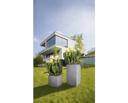 Lechuza Canto Stone plantenbak, 40 x 40 x H 76 cm, grijs, inclusief zelfbewateringssysteem, plantinzet, substraat en waterstandindicator.