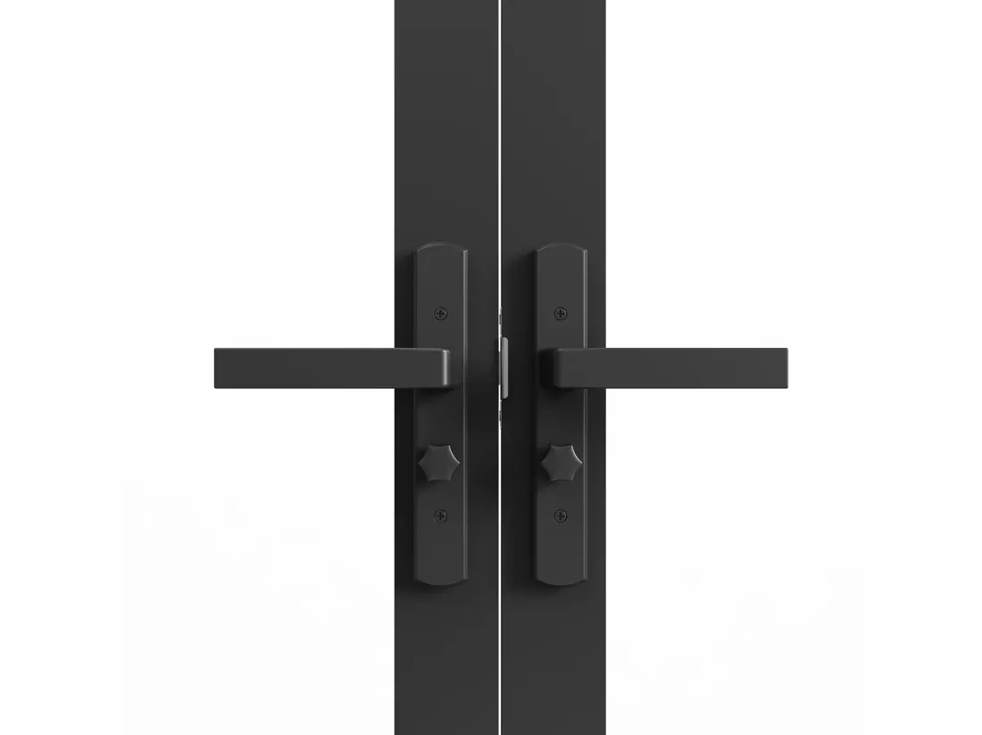 Bloc porte réversible à deux battants en aluminium et verre trempé - 2 x H204 x L83 cm - Noir - LOXTON