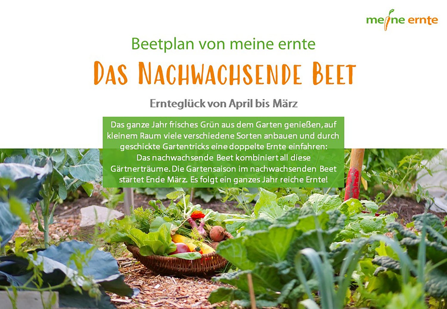 E-book De Vernieuwbare Tuin, Moestuin, Digitaal Tuinplan, Beplantingsplan, Instructies, Zelfredzaamheid, Zaaien, Verzorging en Oogsten