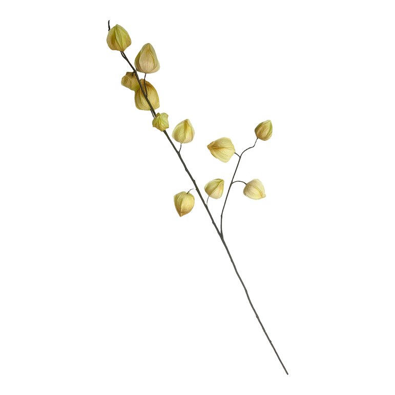 creme, L 95 cm
