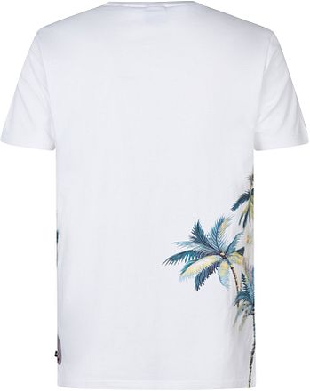 Petrol T-Shirt Islandcrest Print Wit M-1050-TSR673-0000 kopen